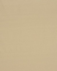 Jamila Ii Chantilly by   