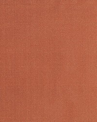 Siam Irish Setter by   