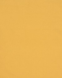 Jamila Ii Sunbeam by   