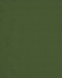 Jamila Ii Evergreen by   