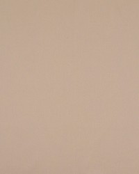 Atomic Fr Champagne by   