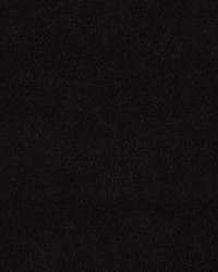 Apollodor Espresso by   