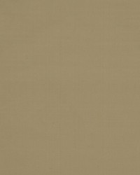 Jamila Ii Moonbeam by   