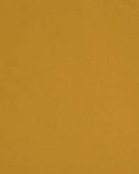 Jamila Ii Goldenrod by   