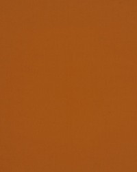 Jamila Ii Pumpkin by   