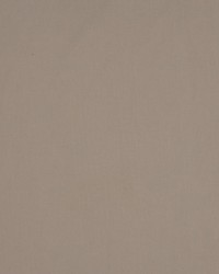 Sonatine Mushroom by   