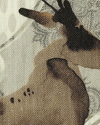 Chamonix Chocolate by   