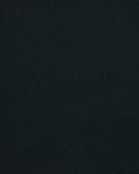 Aretha Anthracite by  Scalamandre 