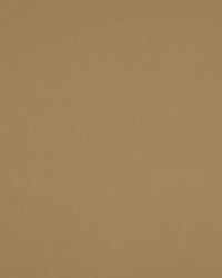 Madrid Cs Iv Brazilnut by   