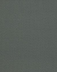 Aretha Flannel by  Scalamandre 