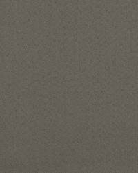 Aretha Twig by  Scalamandre 