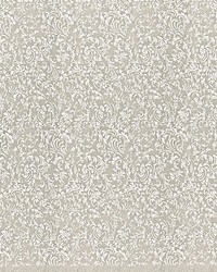 Super Star Feather by  Scalamandre 