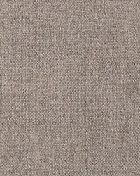 Polaris Driftwood by   