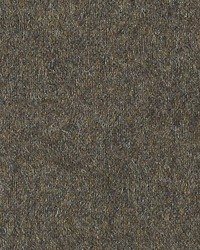 Polaris Brazilnut by   