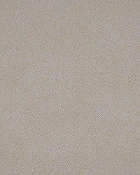 Phoenix Dot Oyster by   