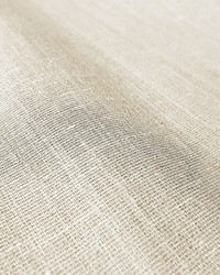 Hamal Cream by  Scalamandre 