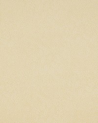 Phoenix Dot Ivory by   