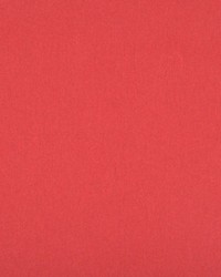 Benu Remix Cardinal by   