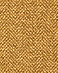 Universo Pumpkin Pie by   