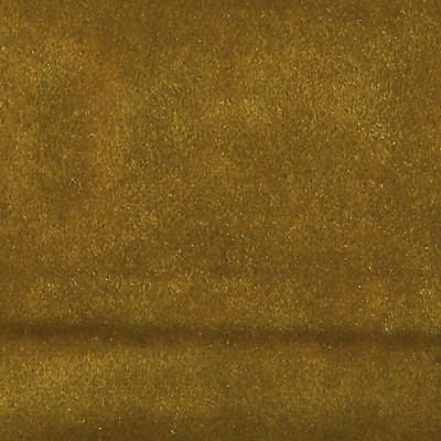 Scalamandre Vitus Gold URBAN LUXURY CH 04134404 Gold Upholstery POLYESTER POLYESTER