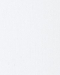 Aim White by  Scalamandre 