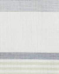 Avivo Stripe Pistachio by   