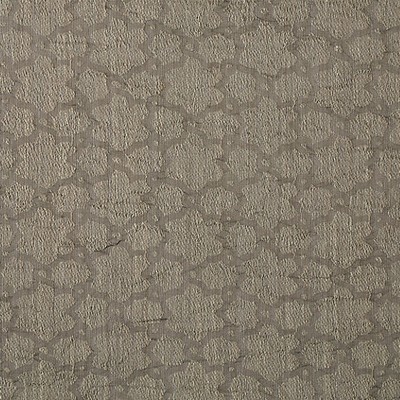 Scalamandre Julie Taupe BICENTENARY CH 05070745 Brown Multipurpose ACRYLIC  Blend