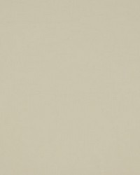 Bon Ton Ivory by  Collier Campbell 