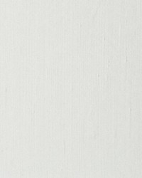 Aim Eggshell by  Scalamandre 