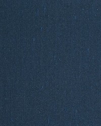 Aim Indigo by  Scalamandre 