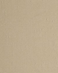 Aim Tan by  Scalamandre 