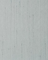 Aim Drizzle by  Scalamandre 