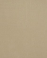 Bon Ton Hazelnut by  Collier Campbell 