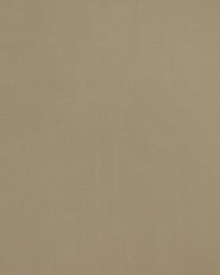 Bon Ton Greige by  Collier Campbell 