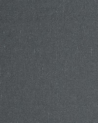 Aim Graphite by  Scalamandre 