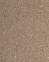 Aim Mocha by  Scalamandre 