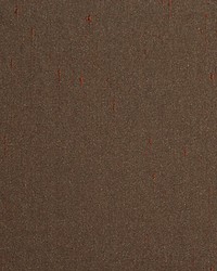 Aim Chocolate by  Scalamandre 