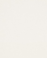 Superb Paper White by   