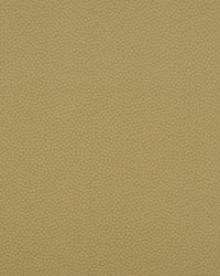 Sterling Antique Gold by   