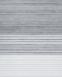 Tristripe Charcoal by  Collier Campbell 