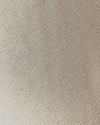 Idra Ecru by  Scalamandre 