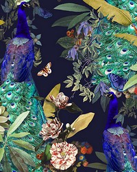 Peacock Society Peacock by   