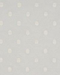 Solar Eclipse Paper White by   