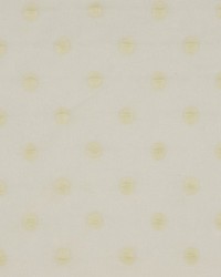 Solar Eclipse Cream by   