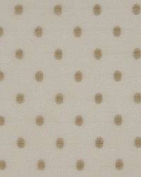 Solar Eclipse Tan by   