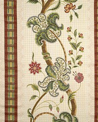 Clarendon Rigato Green by   