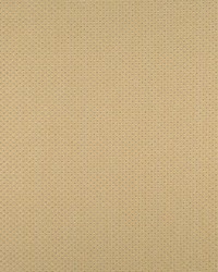 Domino Ercu by  Collier Campbell 