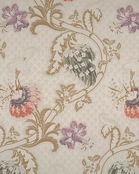 Rocaille Multi On Ivory by   