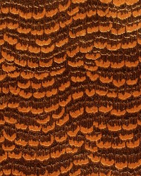 La Mordoree Coordinato Bois by   