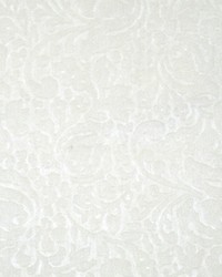 Canova Sevignee Avorio by  Scalamandre 